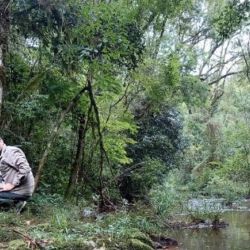 En el marco del OBBA, el equipo del IBS instala cámaras trampa para estudiar fauna silvestre en Misiones. FOTO: Gentileza investigadores