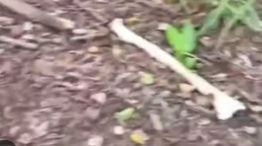 Encontraron restos óseos en un paraje de Salta 20250424