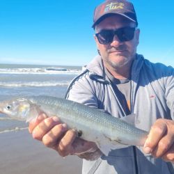 2504_mapa_pique_pesca