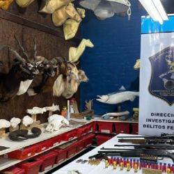 Parte del botín secuestrado durante el allanamiento.