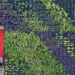 Obreros buscan sombra frente a la fachada de un edificio decorado con plantas, en un caluroso día de verano en Mumbai, India. | Foto:Indranil Mukherjee / AFP