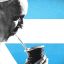 Goodbye to the Argentine papacy