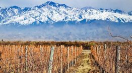 Mendoza