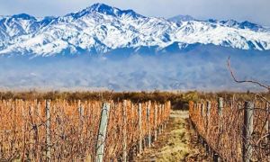 Mendoza