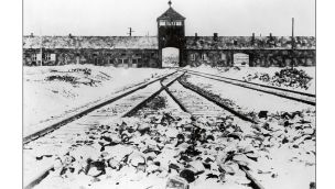 Auschwitz-Birkenau: de qué estamos hablando cuando hablamos de horror.