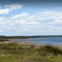 Los lugareños estiman que la laguna no recuperará su población pesquera hasta 2026, basándose en ciclos de recuperación observados tras anomalías similares, como la de 2013, donde la pesca se recuperó recién entre 2015 y 2016. 