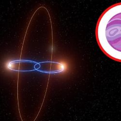 Es la primera vez que se tienen pruebas sólidas sobre estos planetas polares que orbitan un par de estrellas.