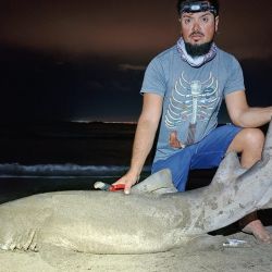 La importancia de esta recaptura radica en el tiempo transcurrido y la distancia total entre ambos puntos. El tiempo entre su marcado y recaptura, es de poco más de 2 años (772 días), y la distancia total recorrida entre ambos puntos, es de solo 7 km.