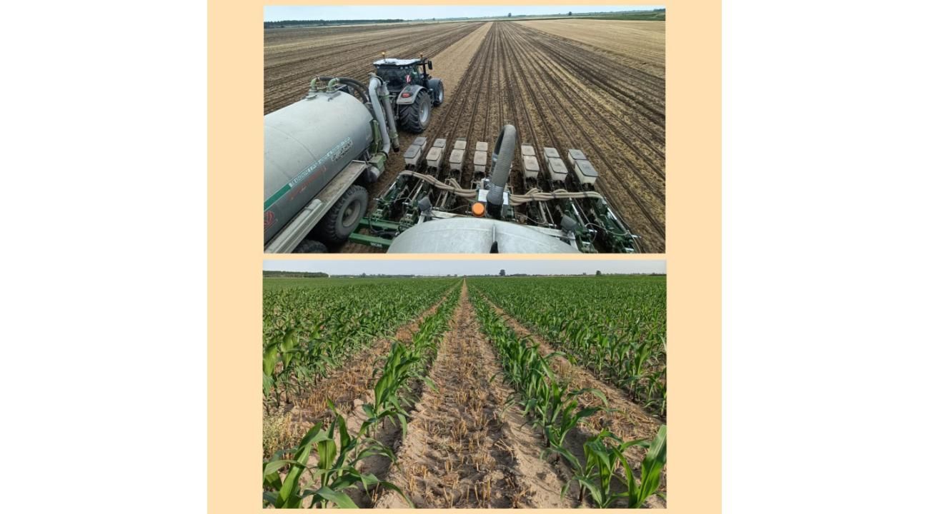 Strip Till: Apertura Comercial y llegada de Nuevas Tecnologías para el Agro