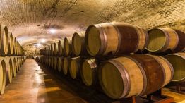 Bodegas