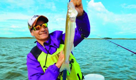 2804_Pesca