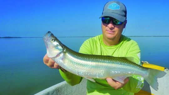 Salada de Madariga: siempre pica en punta