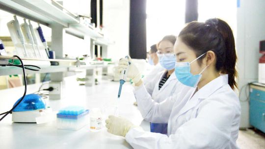 Instituto de Virología de Wuhan, China 20250428