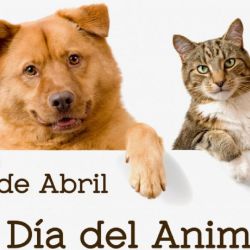 La fecha invita a reflexionar sobre la importancia de proteger a la vida silvestre.