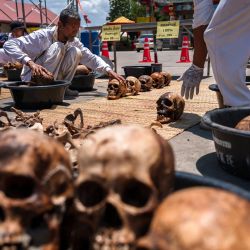 Esta fotografía muestra a voluntarios tailandeses colocando huesos limpios para secarlos durante la ceremonia Lang Pa Cha en el complejo de la Fundación Dhamma de Buda Nakhon Ratchasima, en la provincia tailandesa de Nakhon Ratchasima. | Foto:Chanakarn Laosarakham / AFP