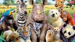 2904_animales