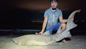 2904_pesca