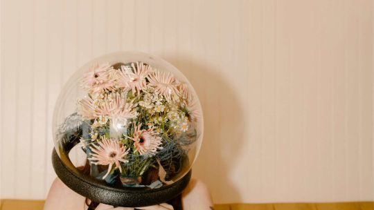 Venus en Aries: los tres signos que se verán más favorecidos que el resto