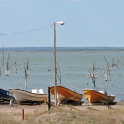 Abril se despide con una temporada de pejerrey a punto caramelo, con un buen número de lagunas que atraviesan un gran momento. Además, la chance de pescarlos en el mar y en el Río de la Plata. 