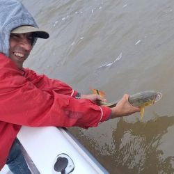 Abril se despide con una temporada de pejerrey a punto caramelo, con un buen número de lagunas que atraviesan un gran momento. Además, la chance de pescarlos en el mar y en el Río de la Plata. 