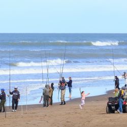 Abril se despide con una temporada de pejerrey a punto caramelo, con un buen número de lagunas que atraviesan un gran momento. Además, la chance de pescarlos en el mar y en el Río de la Plata. 