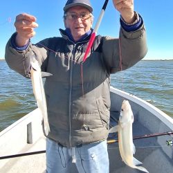 Abril se despide con una temporada de pejerrey a punto caramelo, con un buen número de lagunas que atraviesan un gran momento. Además, la chance de pescarlos en el mar y en el Río de la Plata. 