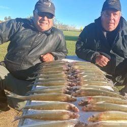 Abril se despide con una temporada de pejerrey a punto caramelo, con un buen número de lagunas que atraviesan un gran momento. Además, la chance de pescarlos en el mar y en el Río de la Plata. 