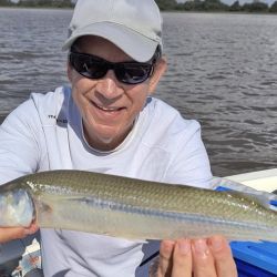 Abril se despide con una temporada de pejerrey a punto caramelo, con un buen número de lagunas que atraviesan un gran momento. Además, la chance de pescarlos en el mar y en el Río de la Plata. 