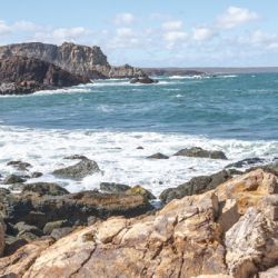 Representa una oportunidad única para la conservación y para el desarrollo de la economía regional basada en el turismo de naturaleza