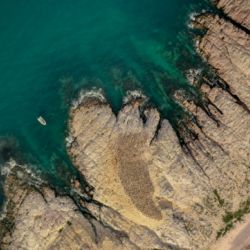 La Legislatura de Chubut aprobó por unanimidad la creación del Parque Provincial Patagonia Azul, 