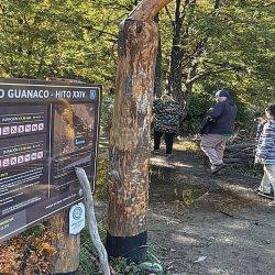 Así fue la travesía off road de Mainumby 4x4 que permitió unir los hitos I y XXIV de Tierra del Fuego.