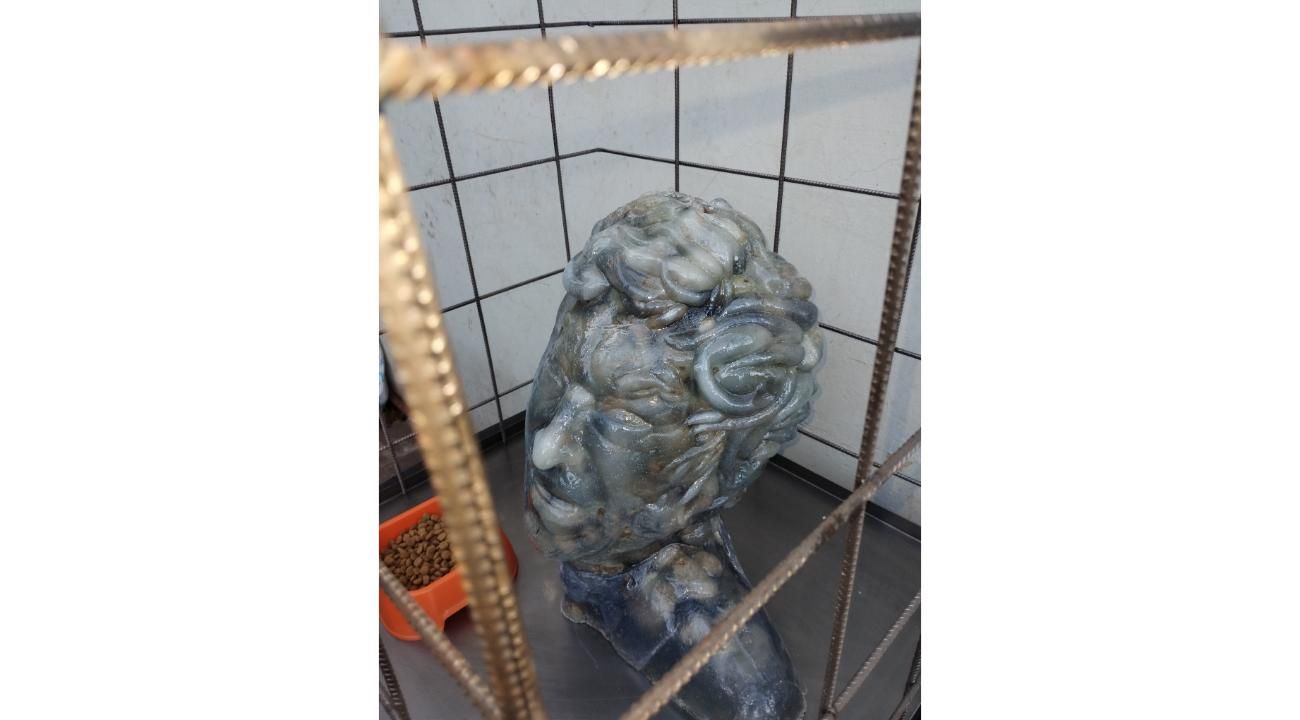 Hugo Villalba: Puertas abiertas al arte