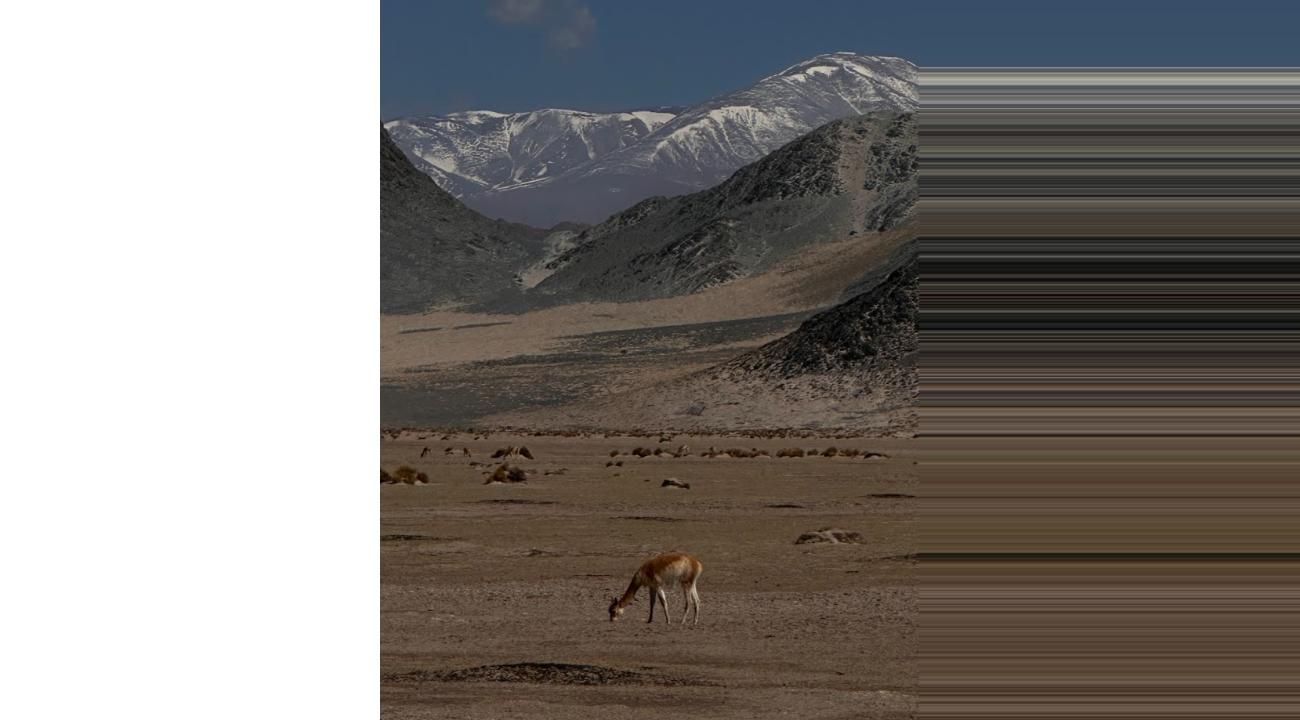 Una pasión que se convirtió en agencia de turismo.