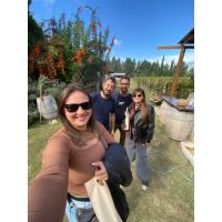 Mendoza en 4 días: vino, festival y experiencias únicas