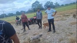 Condenado a prisión por matar a un perro 20250430