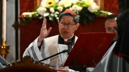 El cardenal Luis Antonio Tagle20250430