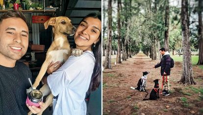 Rescató de la calle a aproximadamente 80 perros y vive con 38. Quién es, qué piensa y cómo vive el “hada madrina” de los pichichos platenses.
