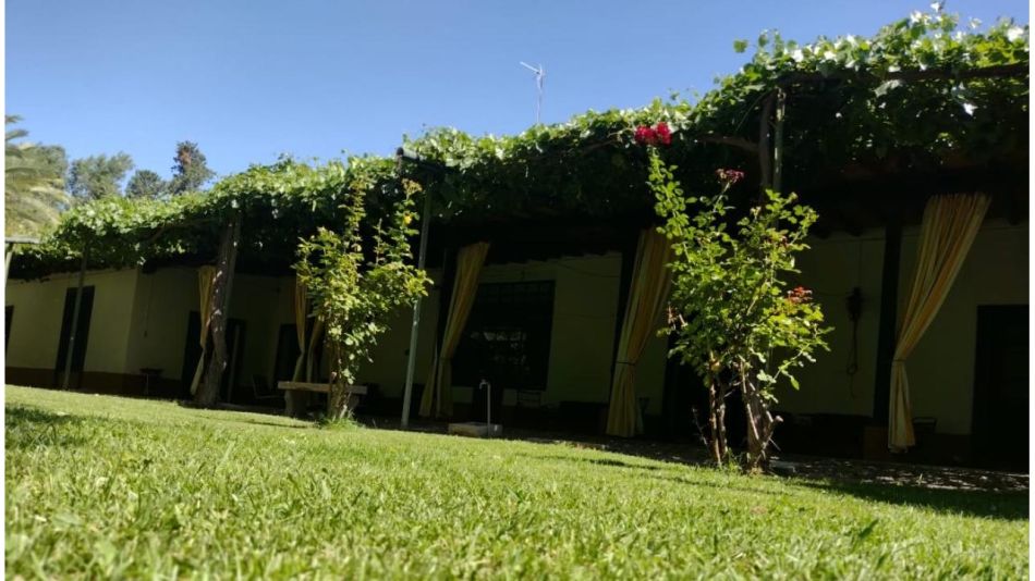 Una historia de pasión y tradición: Midi Wines Malbec 2021 Finca Los Franciscos