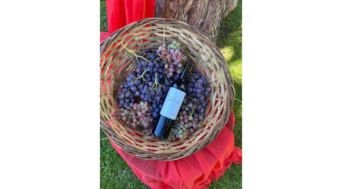 Una historia de pasión y tradición: Midi Wines Malbec 2021 Finca Los Franciscos