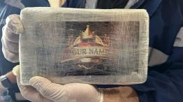 Rosario: Aduana incautó media tonelada de cocaína de un buque y hay 20 detenidos