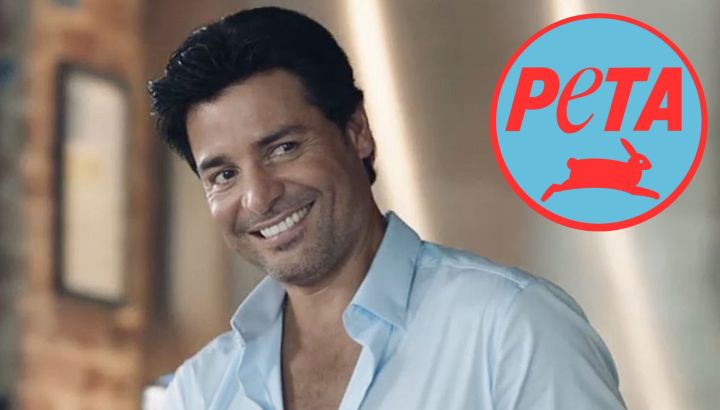 Revelaron la insólita exigencia que PETA le hizo a Chayanne sobre una de sus famosas canciones: ¿Qué pasó?
