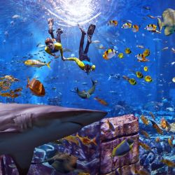 Atlantis Dubai, un destino inigualable con impresionantes vistas al golfo Pérsico y al skyline de la ciudad.