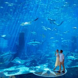 Atlantis Dubai, un destino inigualable con impresionantes vistas al golfo Pérsico y al skyline de la ciudad.
