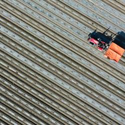 Vista aérea tomada con un dron de una máquina trasplantadora trabajando en un campo de pimiento rojo, en el poblado de Bumbut, en la región autónoma uygur de Xinjiang, en el noroeste de China. | Foto:Xinhua/Ding Lei