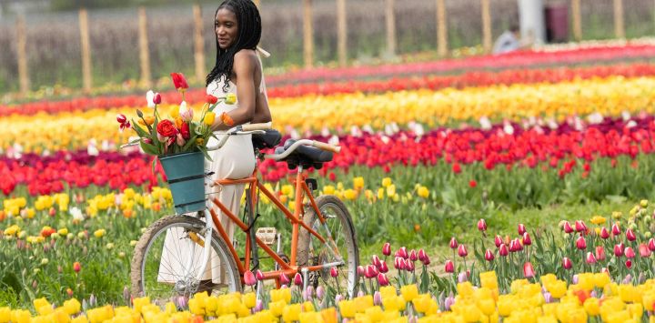 Imagen de una mujer posando para fotografías en una granja de recolección de tulipanes, en Niagara-on-the-Lake, Ontario, Canadá.