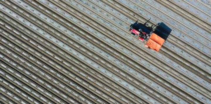 Vista aérea tomada con un dron de una máquina trasplantadora trabajando en un campo de pimiento rojo, en el poblado de Bumbut, en la región autónoma uygur de Xinjiang, en el noroeste de China.