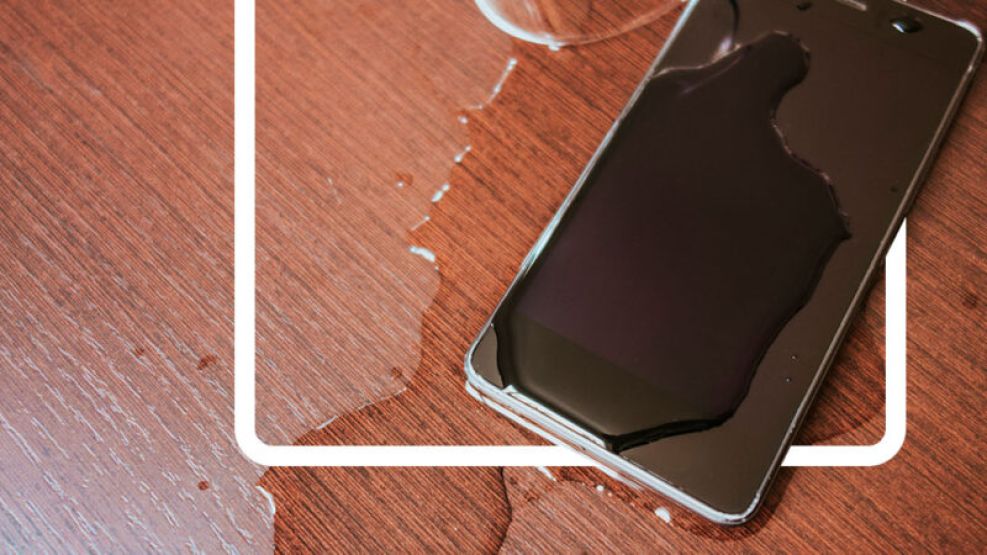 Qué hacer si el celular se te moja 