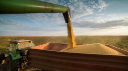 04-05-25agro