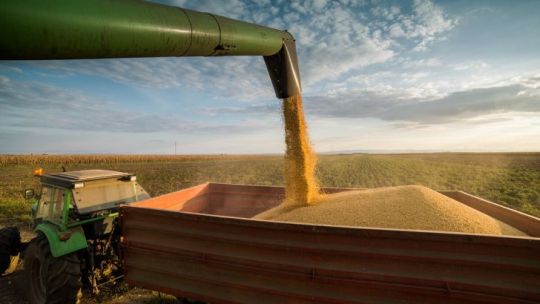 El agro reperfila sus expectativas, pero mantiene gestiones por menor presión fiscal