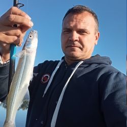 A 45 minutos del obelisco porteño y muy cerca de la autopista Ezeiza –Cañuelas, a la altura de Máximo Paz, un pesquero para los fanáticos del pejerrey a tener muy en cuenta.